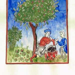 Cueillette des marrons 